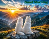 3553.jpg