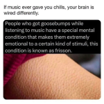 1788380181480.png