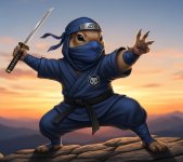 New gopher ninja 2026.jpg