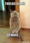 resized_horrorcat-meme-generator-thread-killer-beware-302411.jpg