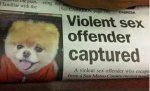 i_stupid_headlines_002_541a858808dcb.jpg