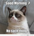 grumpy cat morning.jpg