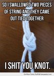 ImageUploadedByTapatalk1440021380.467893.jpg