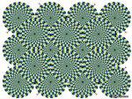 6792d020-1dad-11e4-9689-9540b8c56dd2_0_CATERS_MASTER_OF_OPTICAL_ILLUSIONS_01.jpg