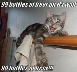 image.jpeg