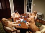 a_baa-Dogs-playing-poker.jpg
