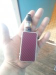 Mini Wolf handcheck.jpg