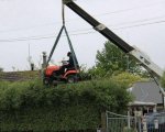 hedge-trim-fail.jpg