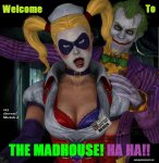 welcome_to_the_madhouse_by_dnxpunk-d4frmdy.jpg