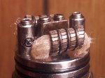 Cat Track Arched Fused Clapton 22K 24K Flattened Staged with Parallel 24K.jpg