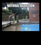 pool-fail-natural-selection.jpg