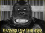 Funny-Gorilla-Thanks-For-The-Add-Picture.jpeg