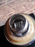 Atlantis Fused Clapton.jpg