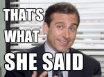 aa38095b_Michael-Scott-The-Office-Thats-What-She-Said-Meme.jpeg