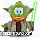 yoda duck.jpg