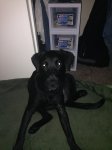 image.jpeg