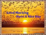 Flying-birds-good-morning-have-a-nice-day.jpg