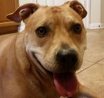 rsz_1rsz_marley.jpg rsz_1rsz_marley.jpg