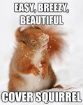 cover-squirrel.jpg