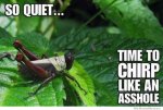 time-to-chirp-like-an-asshole.jpg
