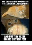 Kittens and razor toes.jpg