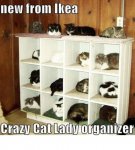 cat organizer.jpg