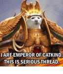 cat emperor.jpg