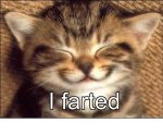 kitty fart.jpg