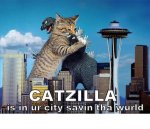 catzilla.jpg