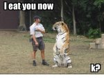 tiger eat you.jpg