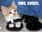 shoes kitty.jpg