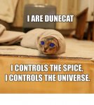 dunecat.jpg