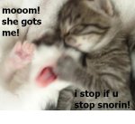 stop snoring.jpg