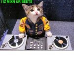 DJ kitty.jpg