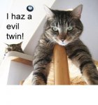 evil twin.jpg