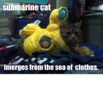 submarine cat.jpg