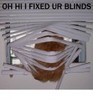 fix blinds.jpg