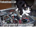 technician cat.jpg