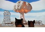 bomb cats.JPG