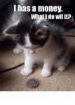 money kitty.jpg