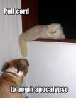 dog cat apocolypse.jpg