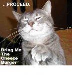 cheeze burger.jpg