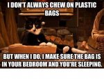 plastic-bag-cat.jpg