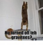 no gravity.jpg no gravity.jpg