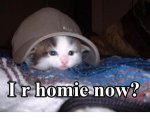 home now.jpg home now.jpg