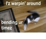 warp cat.jpg warp cat.jpg