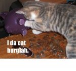 cat burgler.jpg cat burgler.jpg