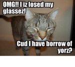 lost glasses.jpg lost glasses.jpg