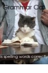 grammar cat.jpg grammar cat.jpg