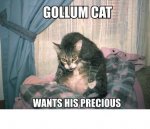 gollum cat.jpg gollum cat.jpg